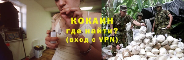 молекула духа Зеленокумск