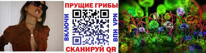 Купить закладки  Валуйки  Галлюциногенные грибы Psilocybe 