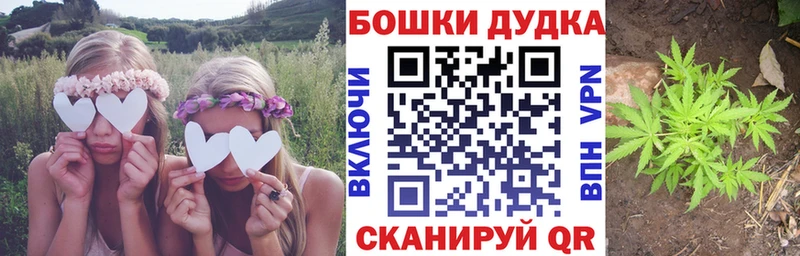 Купить  Валуйки  Бошки марихуана Amnesia 